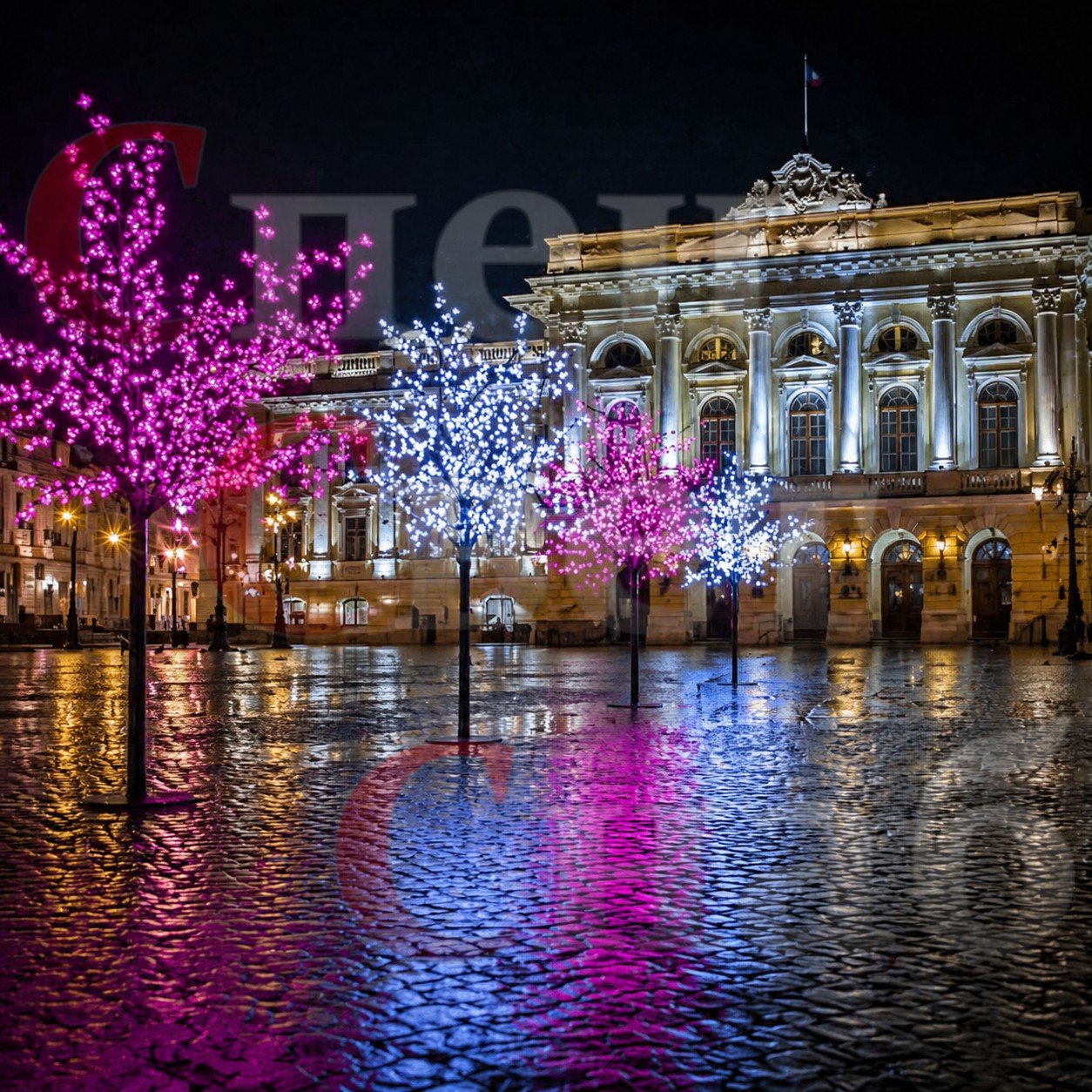 белые розовые сакуры